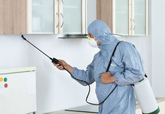 Affordable Pest Services Southport
